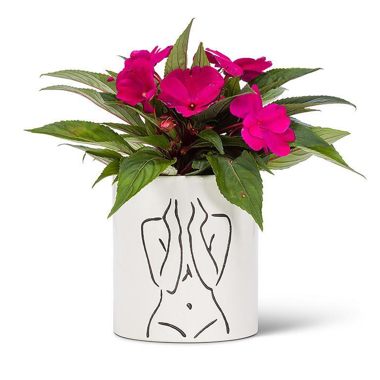 Line Drawing Planter