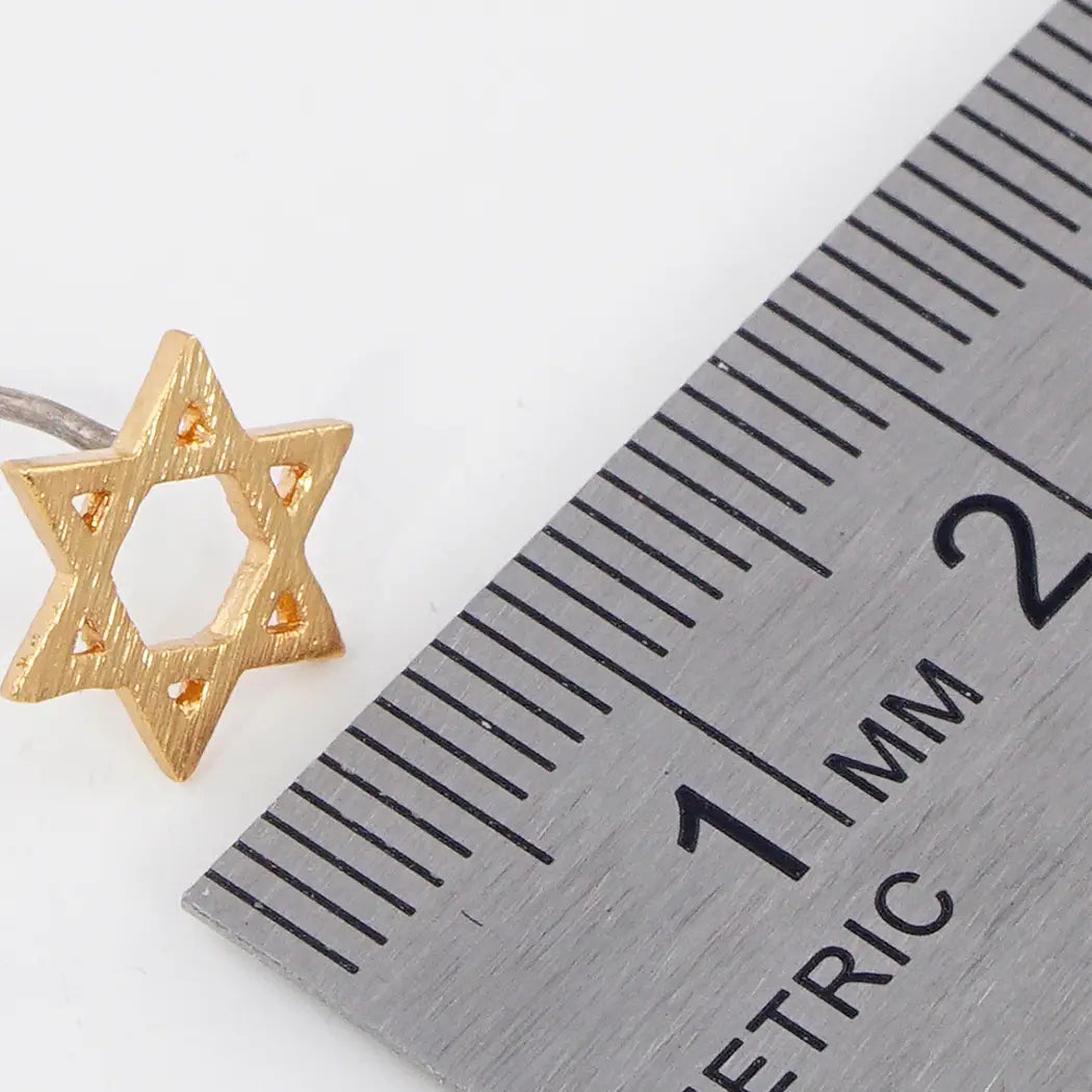 Gold Dipped Star of David Earrings