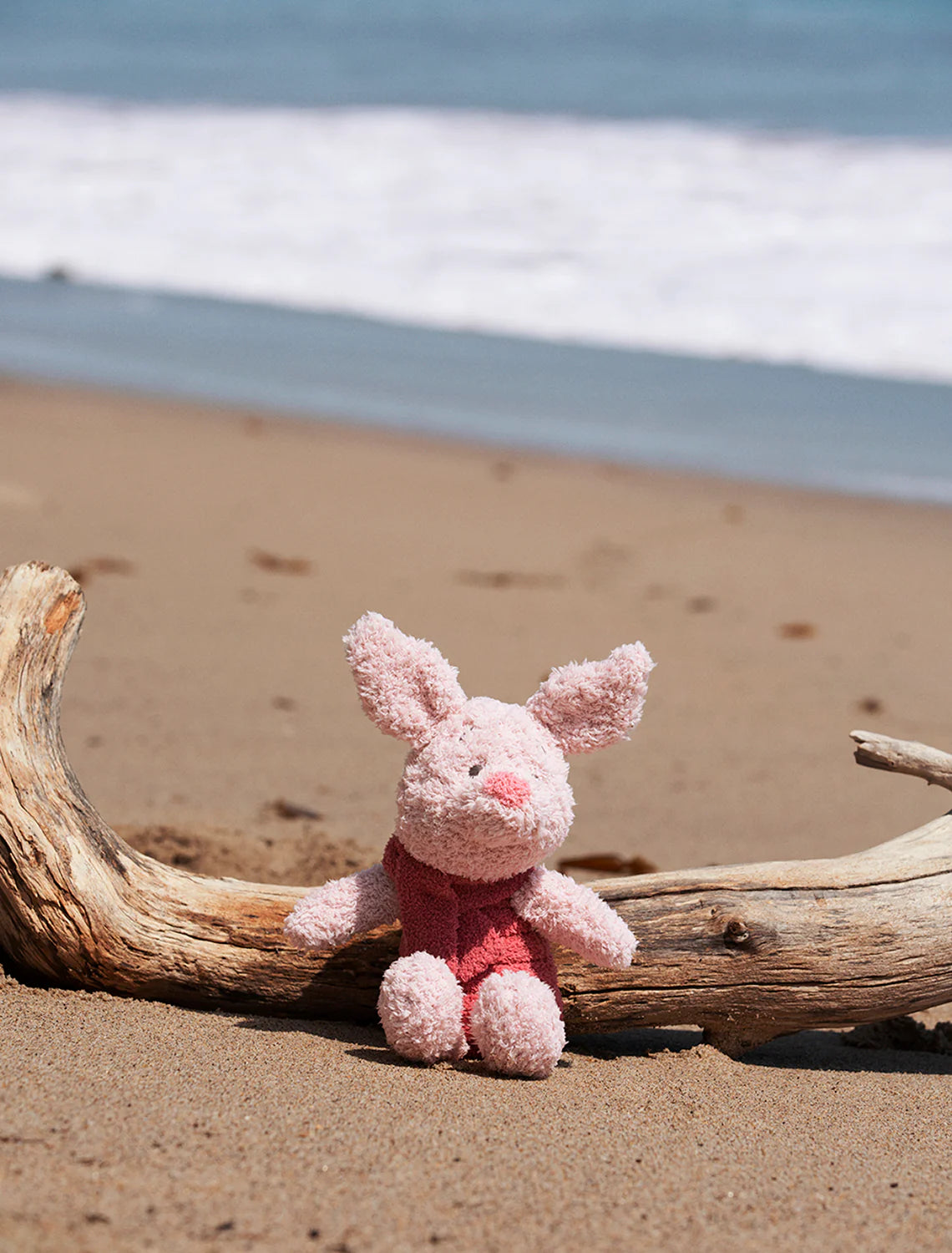 Disney Piglet Buddie