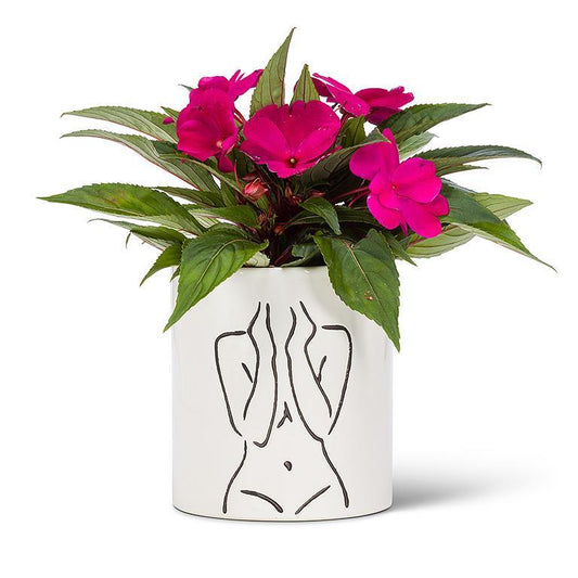 Line Drawing Planter