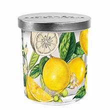 Michel Design Works Lemon Basil Candle Jar